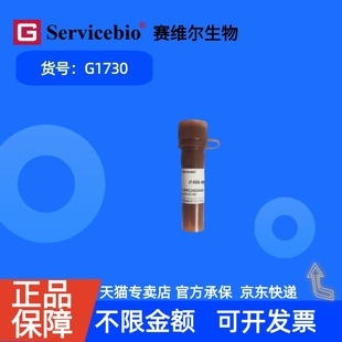 现货 赛维尔生物Servicebio iF488-Wheat Germ Agglutinin(WGA,绿光) G1730 100μL 科研实验