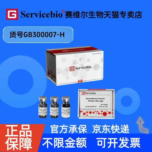 现货Recombinant Human IL-6 Protein (His-tag) 10ug GB300007-H 赛维尔生物Servicebio 科研实验白细胞介素