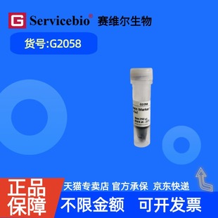 现货 赛维尔生物Servicebio 预染蛋白 Marker II (10-200 kDa) G2058 250μL 科研实验