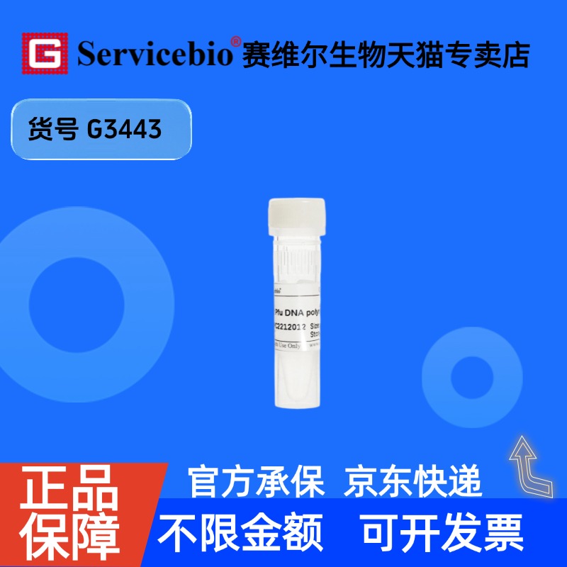 现货 Fast Pfu DNA polymerase 200U G3443 赛维尔生物Servicebio 科研实验 重组蛋白/酶