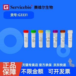现货 赛维尔生物Servicebio 一代逆转录试剂盒(含基因组DNA去除) G3331 50rxns 100rxns 科研实验