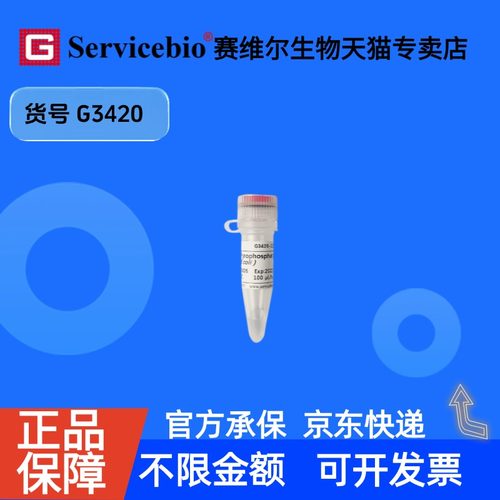 现货 Inorganic Pyrophosphatase (E.coli) 100U G3420 赛维尔生物Servicebio 科研实验 重组蛋白/酶