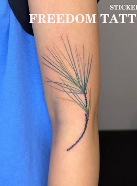 松树枝彩色纹身贴手臂手腕高级小清新贴纸防水持久仿真刺青可水洗