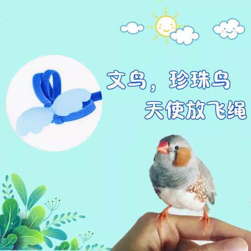 珍珠鸟小型文鸟放飞绳外出背带牵引遛鸟绳超轻便宜