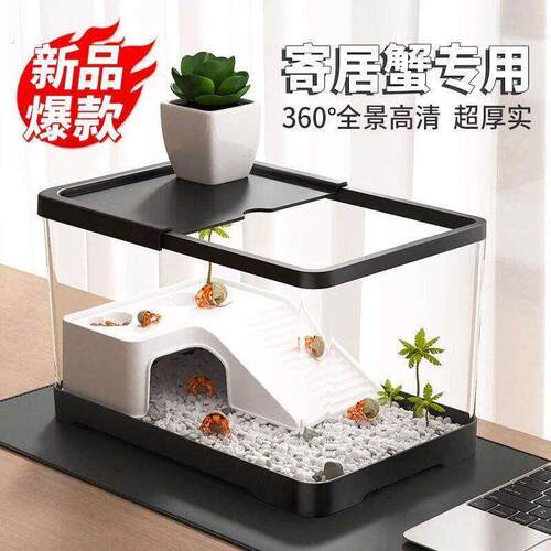 寄居蟹乌龟饲养缸生态造景装饰家用带盖爬台小型螃蟹相守蟹专用箱