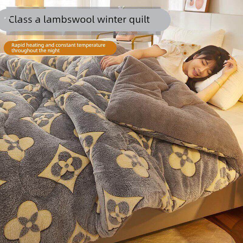 羊羔绒被子2025新款冬季棉被被芯冬天单人宿舍秋冬被加厚保暖10斤