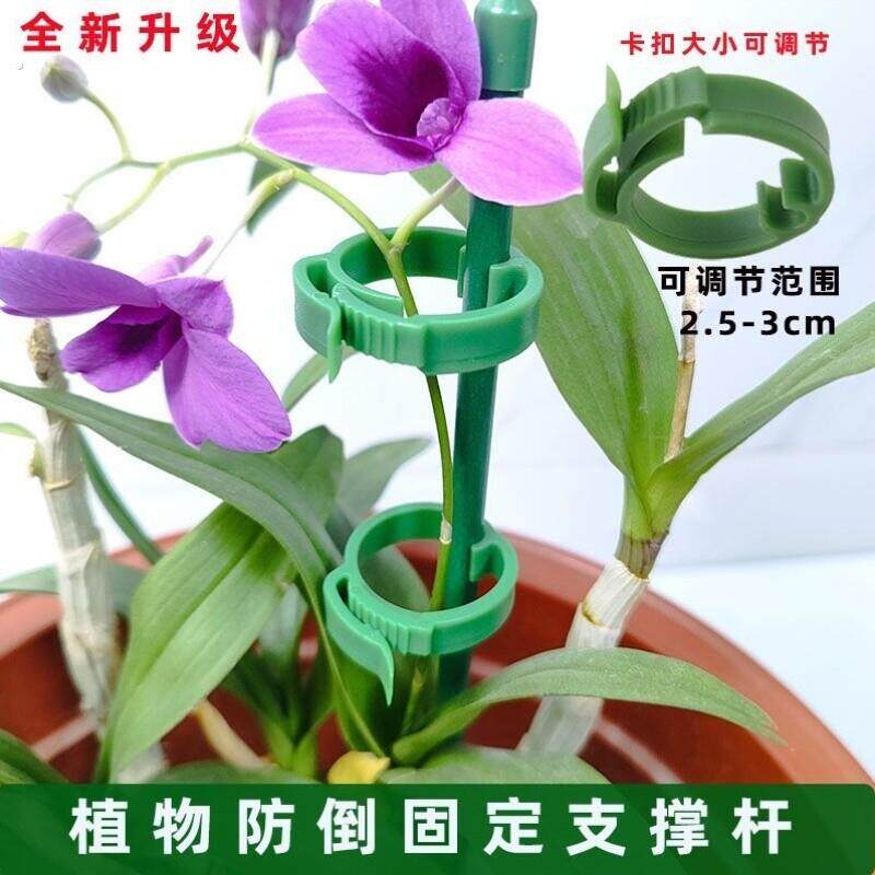 绿植固定器爬藤架防倒伏植物支撑杆固定神器绿植园艺蔬菜番茄龟背