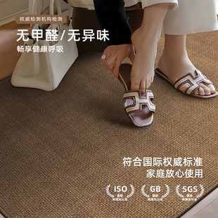 玄关耐脏防滑可裁剪脚垫进门口地 高级感纯b色入户门地垫2025新款