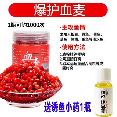 钓鱼麦子b麝香鱼饵颗粒饵料挂钩野钓窝料酒米鲫鱼鲤鱼草鱼打窝玉