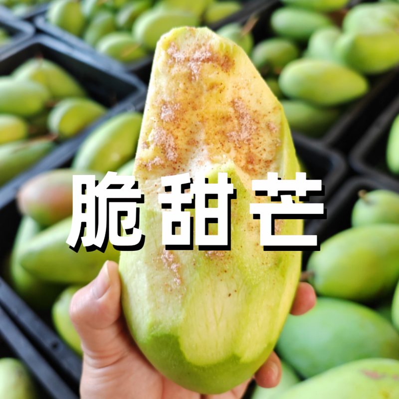 正宗广西大青芒金煌芒青皮大芒果硬芒果酸脆新鲜甜心芒生芒果酸野