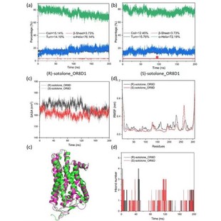 分子对接 MMGBSA结合自由能计算 分子动力学模拟