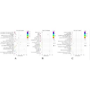 KEGG富集 PPI网络 cytoscape作图 网络药理学专业代做
