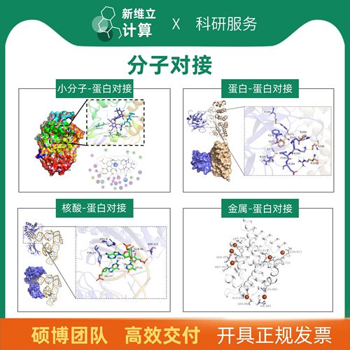 分子对接/批量对接/分子动力学模拟/可接各类复杂建模/网络药理学