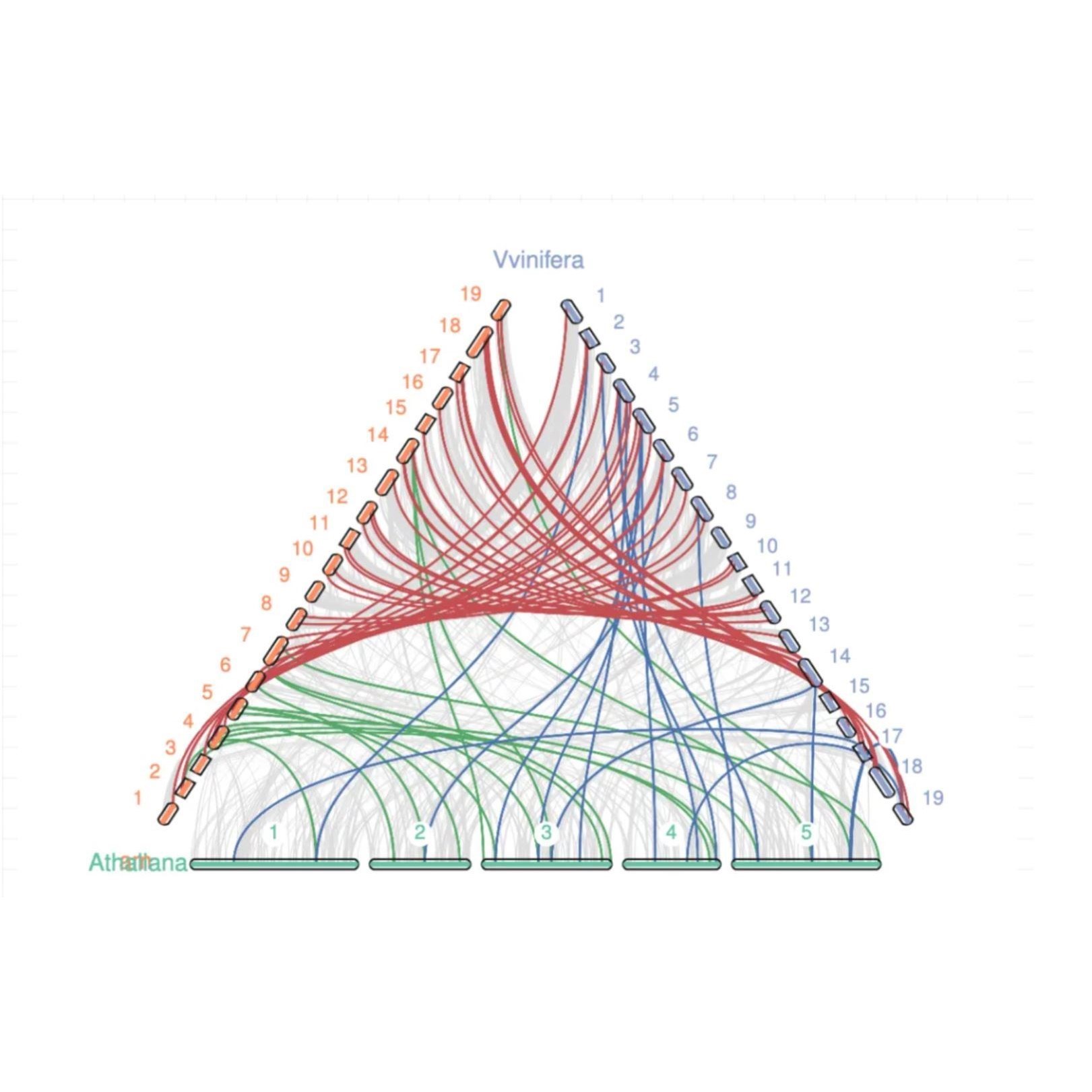 生信分析 Bioinformatics Analysis