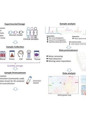LCMS检测 液相色谱质谱分析检测 代谢组学 脂质组学 蛋白组学