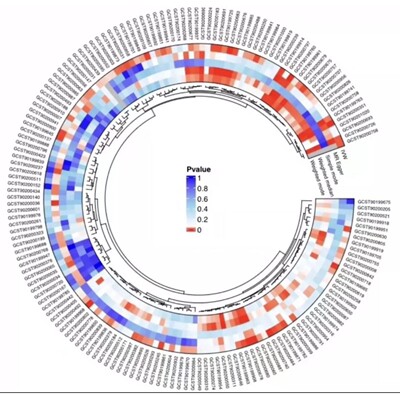 微生物组16s扩增子/宏基因组生信分析qiime2物种丰度多样性lefse