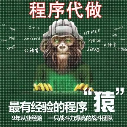 计算机java程序代做C++代码Python代写PHP编程vb设计c#软件qt安卓