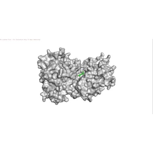 分子对接 分子动力学模拟 Autodock分子对接 PyMOL可视化