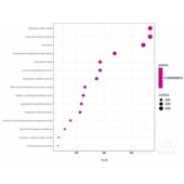 RNA GEO TCGA seq测序数据挖掘结果可视化单细胞数据分析生信分析