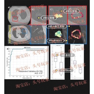 特征解析与提取 图像预处理 随机森林 ROI分割 影像组学