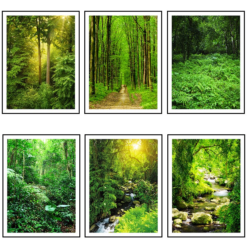 绿树林装饰画现代时尚风景画客厅挂画餐厅有框画走廊墙画过道竖版图片