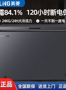 美菱100/200/301L冰柜家用小型冷藏冷冻两用单温一级能效卧式冰柜