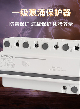 一级浪涌保护器 4P防雷保护器12x.5KA15KA25KA 三相避雷电涌保护