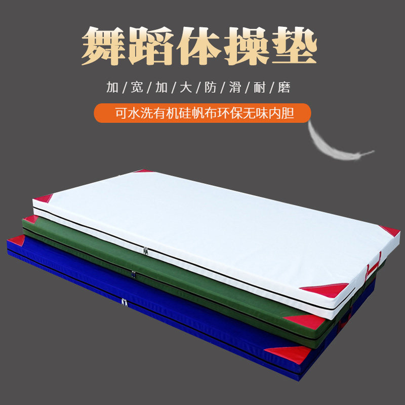 空翻仰卧起d坐折叠皮革儿童舞蹈体操体育垫子跳高跆拳道武术海绵