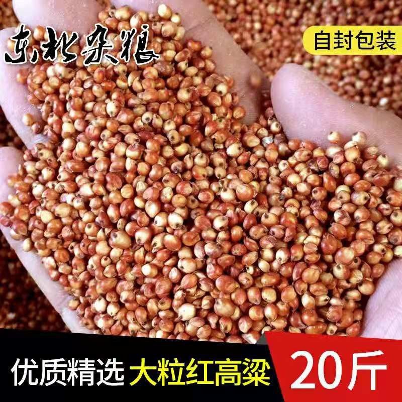 2020带e皮大粒红高粱20斤未脱皮大粒红高粱酿酒高粱喂鸽子