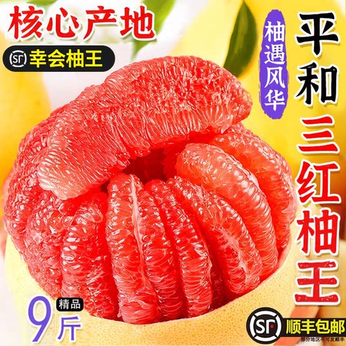 正宗漳州平和红皮红肉密柚