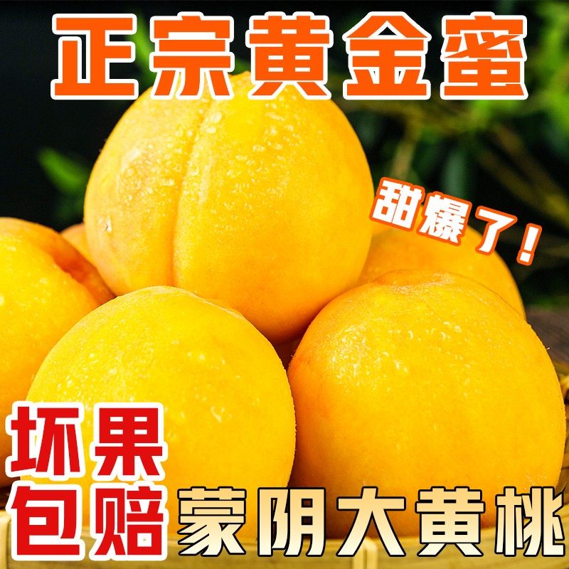 黄桃新鲜水果山东蒙阴黄金蜜桃脆甜罐头桃现摘现发当季整箱黄毛桃