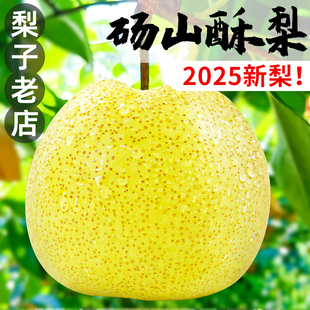 安徽正宗砀山酥梨新鲜水果当季梨子整箱特产青香梨脆雪梨整箱包邮