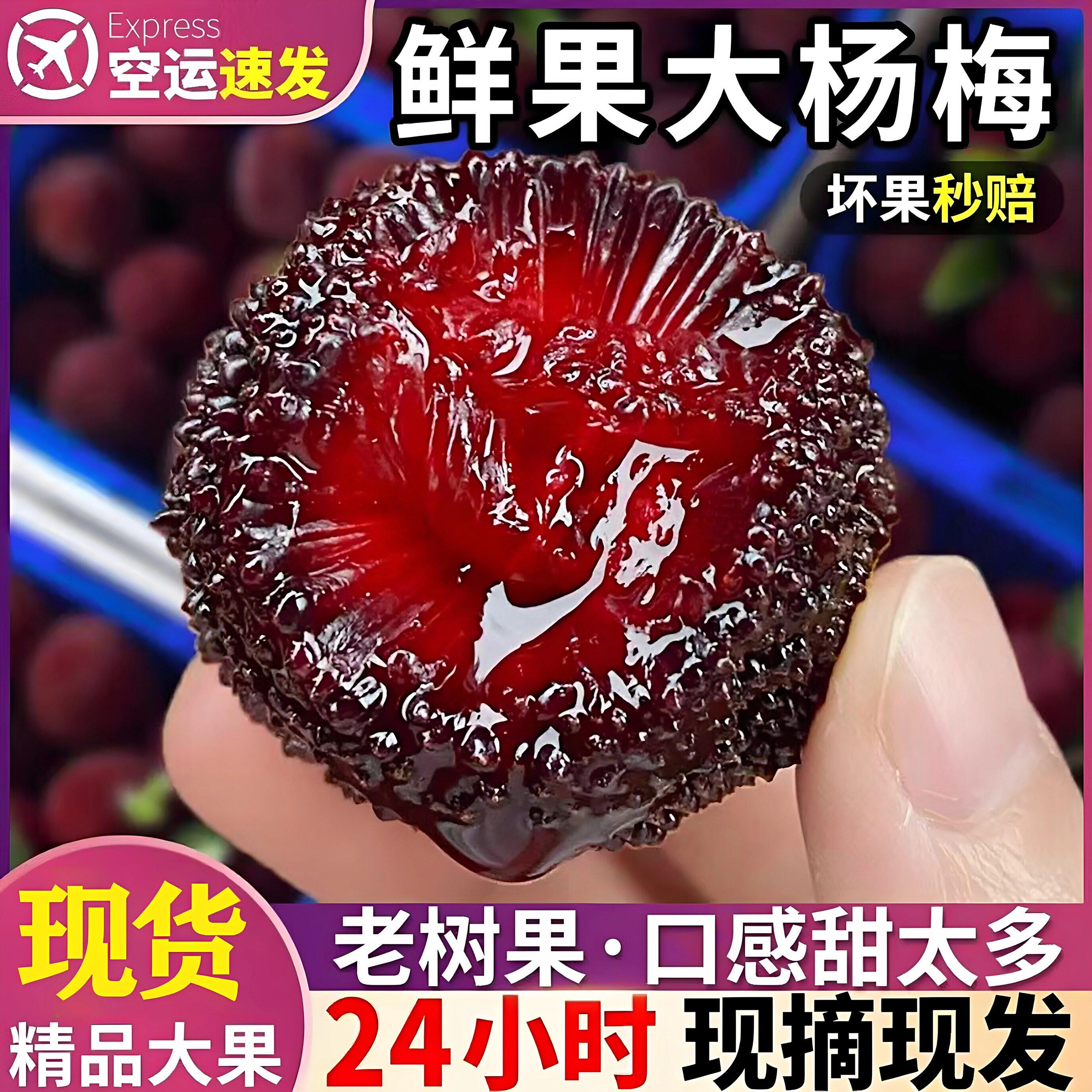 福建杨梅新鲜现摘老树时令孕妇应当季水果东魁大果空运整箱包邮