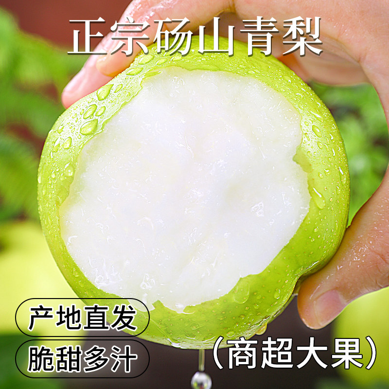 正宗砀山青梨梨子安徽新鲜水果当季整箱皇冠翠玉梨产地直发包邮图片