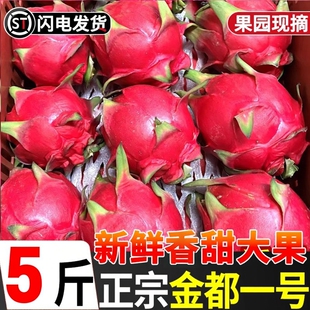 红心火龙果海南金都一号5斤整箱大果新鲜当季红肉密宝水果包邮