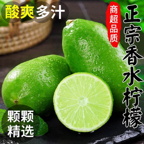 海南无籽香水青柠檬新鲜水果5斤正宗四季青柠奶茶店批发整箱包邮