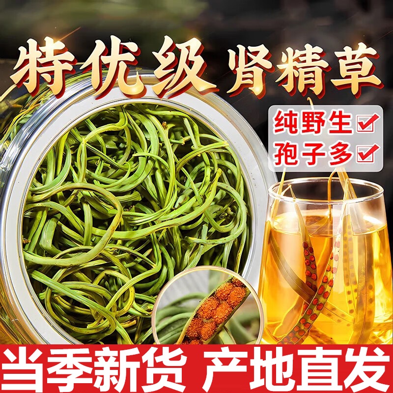 长白山肾精草东北野生黄金草肾精茶强肾石韦嗷嗷叫正品泡水养生茶