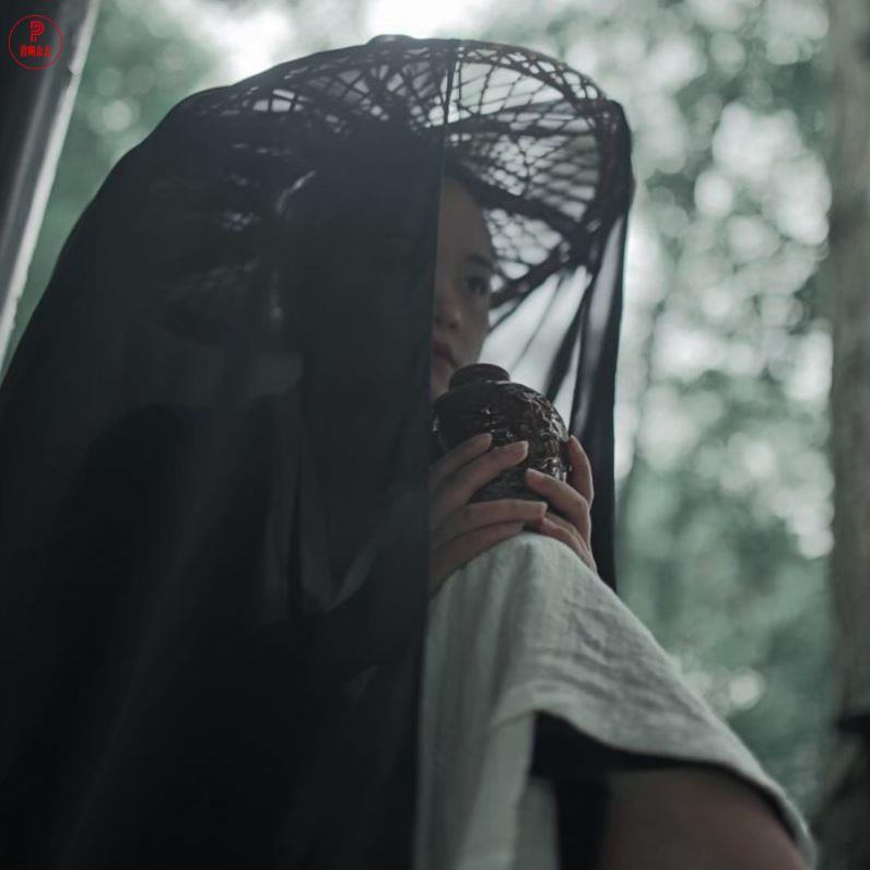 古风斗笠带纱cosplay帽古装武侠汉服仙男侠客幕篱防晒女蓑衣