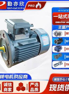 1TLOO1可调速三相异步电动机电机减速电机震动电机震动马达
