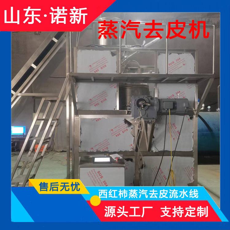 诺新葡萄蒸汽去皮机多功能果蔬去皮设备土豆红薯黄桃处理设备