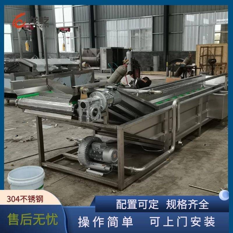 全自动水果蔬菜清洗机喷淋式去农残洗菜机小龙虾气泡清洗设备现货