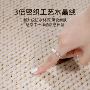 轻奢高级感家用沙发茶几毯卧室床边免洗可擦地垫 地毯客厅2025新款