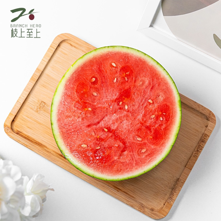 枝上至上美都沁糖西瓜正宗美都西瓜精心挑选脆甜爽口当季新鲜采摘