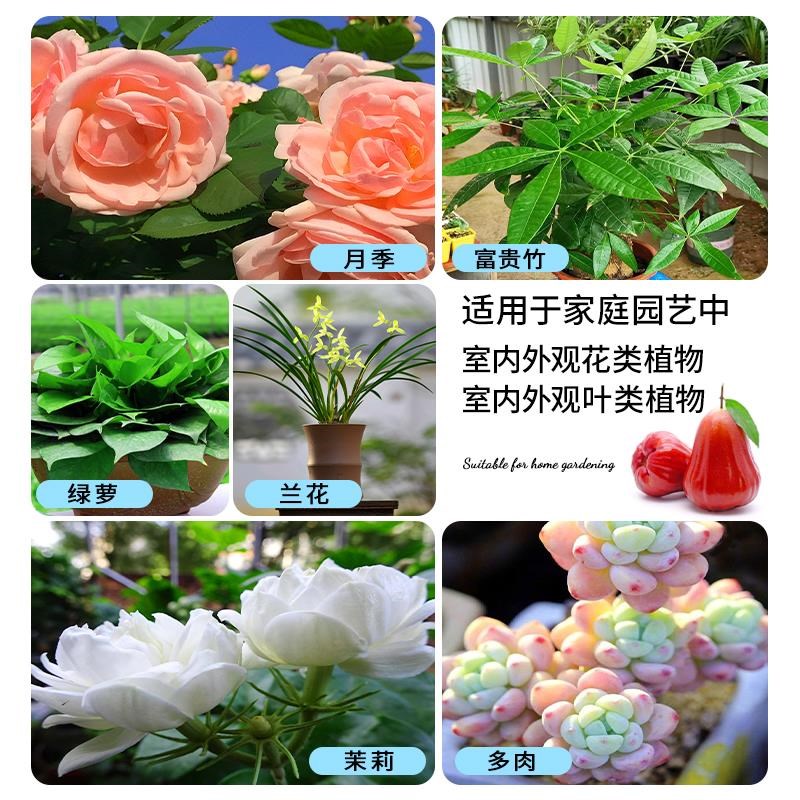 强力生根粉植物通用扦插快速移栽生根剂壮苗生根液果树木营养液