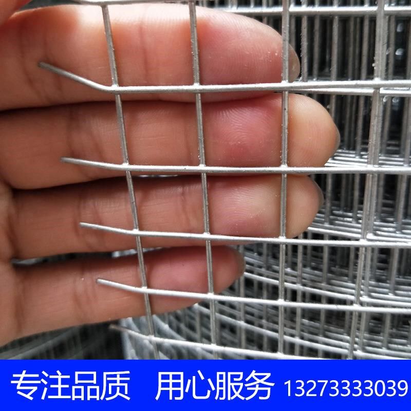 热镀锌钢丝网防护围栏网铁丝网养殖加F粗网格网片小孔养鸡电焊网