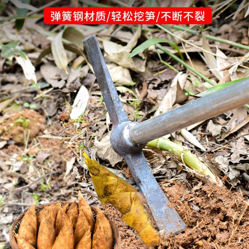 德国品质镐头纯钢挖笋神器小洋镐镐斧挖树根冬笋专用锄头羊镐挖土,畜牧/养殖物资,赶猪器,淘宝优惠券,粉丝福利购,淘宝优惠卷