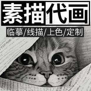 素描画像定制手绘彩铅画代画人物画肖像画真人转手绘画动物头像画