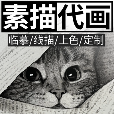 专业素描代画临摹线描上色定制