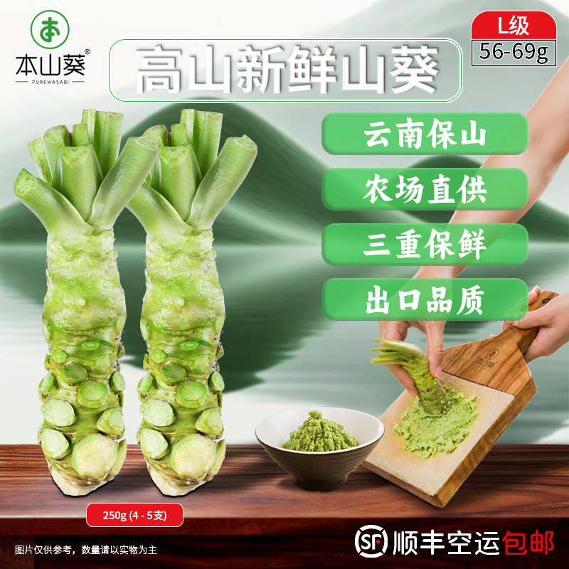 正宗云南新鲜山葵250g A+级日本韩国进口品质搭寿司刺身海鲜烤肉