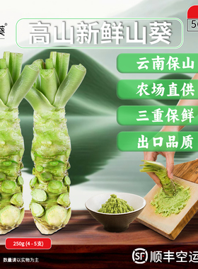 正宗云南保山新鲜山葵250g0添加 L级日本韩国进口品质搭寿司刺身